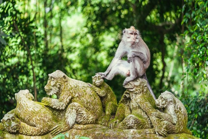 IndonesiÃ« - Monkey Forest - Vakanties voor mensen met een lichamelijke beperking