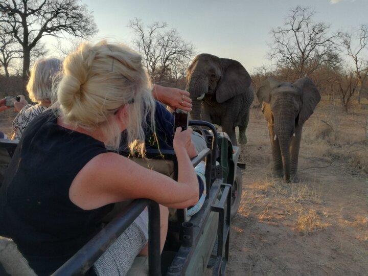 Zuid-Afrika - Game Drive - MundoRadoreizen begeleide vakanties voor mensen met een lichamelijke beperking of NAH